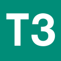 T3