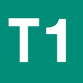 T1